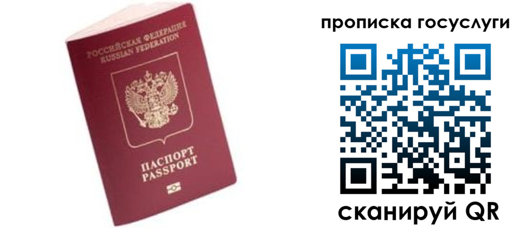 прописка в Калужской области
